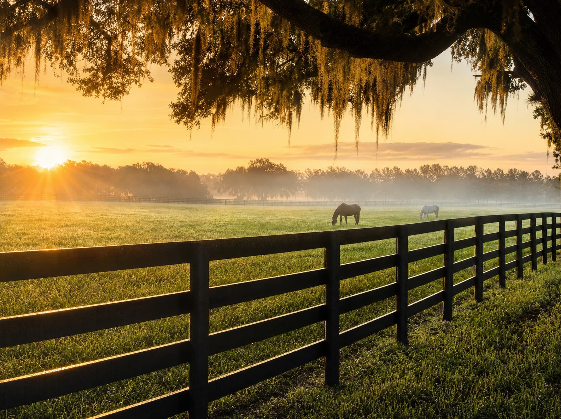 Black three-rail wooden ranch fence across a Central Florida horse pasture at sunrise